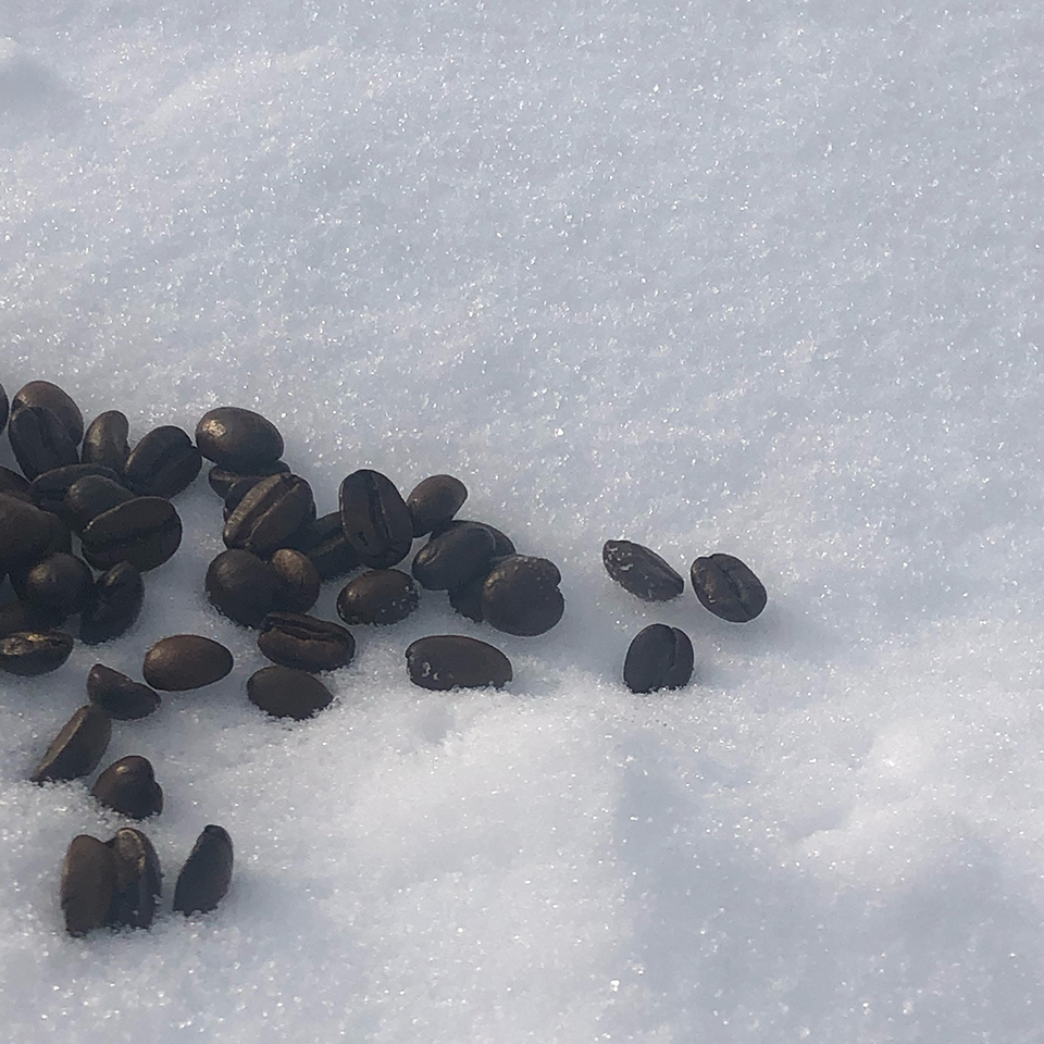 岐阜県 雪の下熟成珈琲ドリップバッグセット | 飛鳥クルーズ